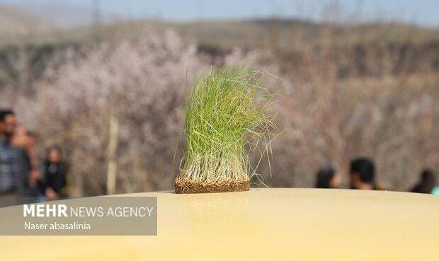 برخورد پلیس با تخلفات ساکن در روز طبیعت