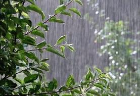 هواشناسی ۱۴۰۳/۰۳/۲۹؛ رگبار باران در ۱۵ استان / هشدار نارنجی به کشاورزان