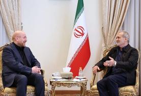 دیدار رئیس‌‌ مجلس با  پزشکیان؛ تاکید قالیباف  بر حمایت مجلس از دولت چهاردهم