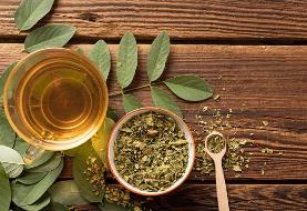 مهم‌ترین خواص آویشن که نمی‌دانید + ۵ دمنوش خوشمزه