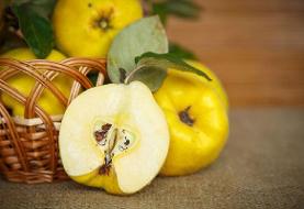 خواص جوانسازی و ضدچروک میوه بِه و مربای انرژی‌زای آن (فیلم)