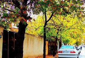هواشناسی ۱۴۰۴/۰۷/۱۸ / سامانه بارشی در ایران؛ باران و رعد و برق در برخی مناطق