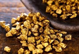 نوسان شدید در بازار طلا؛ سقوط شبانه، رشد صبحگاهی