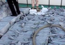 انهدام باند وارد کننده کالای ممنوعه در بندرلنگه