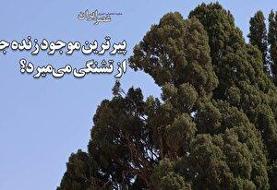«تخلفات سنگین» در عمارت لوکس مسی؛ ستاره آرژانتینی درگیر پرونده قضایی ساخت‌وساز