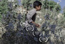 «سوور» به ۴ کشور سفر می‌کند