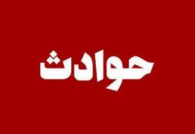 قاتل اصلی  پس از بازگشت از ترکیه دستگیر شد/ کرگدن از قصاص گریخت