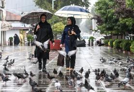 هواشناسی ۱۴۰۴/۰۷/۲۶/ رگبار باران در شمال و جنوب شرق
