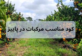 انتخاب کود برای مرکبات در پاییز