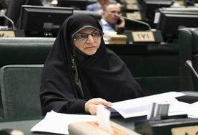 تغییر نام لایحه «منع خشونت علیه زنان» به «کرامت زنان و خانواده»/ انتقاد زهره لاجوردی؛ دولت اصرار ...