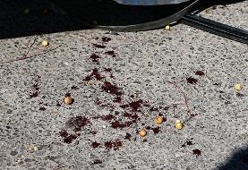 واژگونی مینیبوس در محور مهاباد به ارومیه ۱۱ مصدوم برجا گذاشت