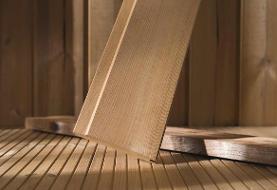 با توجه به نوسانات ارز، قیمت ترموود چقدر رشد داشته است؟