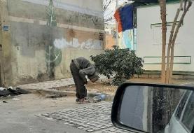 مرگ ۷ هزار معتاد بر اثر سوءمصرف مخدر