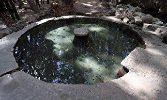 پاسخ پروفسور سمیعی در خصوص وضعیت صابر کاظمی