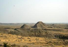 کشف فسیل زنده ۲۰۰ میلیون ساله در ایران +  عکس یکی از کهن‌ترین موجودات زنده کره زمین