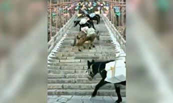 ترکیب متفاوت استقلال مقابل چادرملو