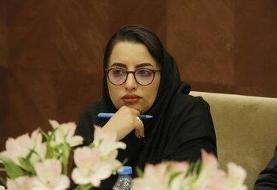 شیراز در آستانه اکسپو ؛ فرصتی برای تولد یک برند جهانی