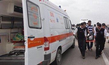 انحراف مینی‌بوس  از جاده ۱۴ مصدوم برجای گذاشت