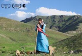 «دشت می‌خواند» در بخش مسابقه دو جشنواره فرانسوی 