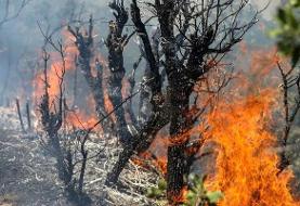 وقوع آتش‌سوزی در جنگل‌های دراکین چالوس