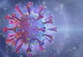 شایع‌ترین عفونت تنفسی این روزها اعلام شدی/ «کرونای تیغی» چیست؟