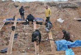 چه بیماری‌هایی ارتش ناپلئون را شکست داد؟