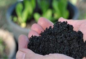 تبدیل ضایعات کشاورزی به زغال زیستی؛ گامی برای کاهش آلودگی و صرفه‌جویی در مصرف آب