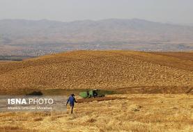 امکان شناسایی و تحلیل ماهواره‌ای سطح زیرکشت گندم در ۳ استان کشور