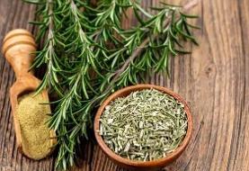 گیاهی که جای زخم را ترمیم می کند!