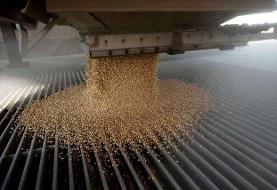 بازار چین جایی برای سویای آمریکا ندارد