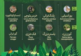 حیوانات در معرض انقراض ایران و آسیا را بشناسید(اینفوگرافی)