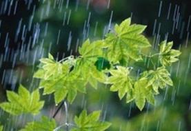 فعالیت سامانه بارشی در کشور از شنبه و بارش باران در اغلب استان‌ها