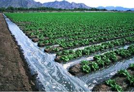 آزاد سازی میلیاردی اراضی کشاورزی در ری