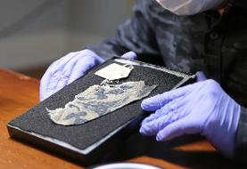 یافته‌های شگفت‌انگیز دانشمندان از DNA هیتلر