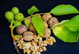 چطور یک کلیسا تبدیل به حافظه پنهان بشر شد؟