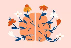 کاهش خطر زوال عقل زودرس با این تغییرات ساده در سبک زندگی