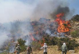 آتش الیت فروکش کرد