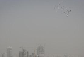 وزش باد شدید و خیزش گرد و خاک در برخی مناطق کشور