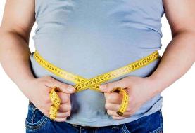 این باکتری جلوی چاقی را می گیرد