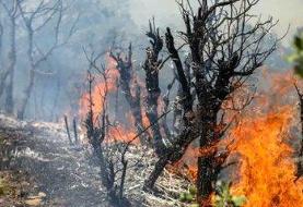 هواپیمای ایلوشن به جنگل‌های چالوس رسید