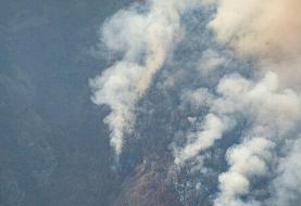 رایزنی ایران با روسیه و ترکیه برای جنگل الیت چالوس