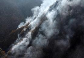 فاجعه در جنگل‌های هیرکانی؛ ردپای زمین خواران در آتش الیت!