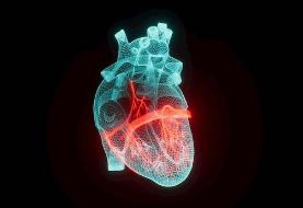 تحقیقات جدید دانشگاه ویرجینیا: این ۲ ویتامین مانع سکته قلبی می‌شود