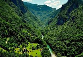 جنگل هیرکانی قدیمی‌تر است یا هیمالیا؟