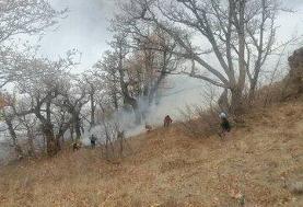 ادامه عملیات مهار آتش‌سوزی گسترده در جنگل‌های الیت چالوس