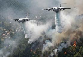 معاون وزیر کشاورزی: تنها ۸ هکتار جنگل الیت درگیر آتش شده