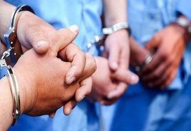 دستگیری ۳ متهم اصلی حمله به زوج سالخورده + ویدئو