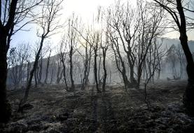 مدیرکل منابع طبیعی مازندران: آتش در الیت کنترل شد