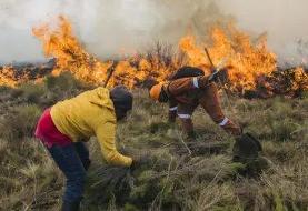 ‌راهکارهای علمی برای مهار شعله‌های آتش در منابع طبیعی | از تکنیک‌های جهانی تا چالش‌های ایران