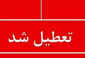 شکر از هفته آینده وارد می‌شود